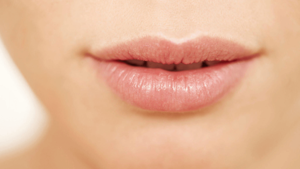 Lip Balms Without Coconut Oil