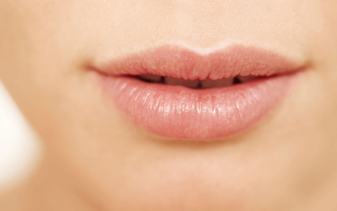 Lip Balms Without Coconut Oil