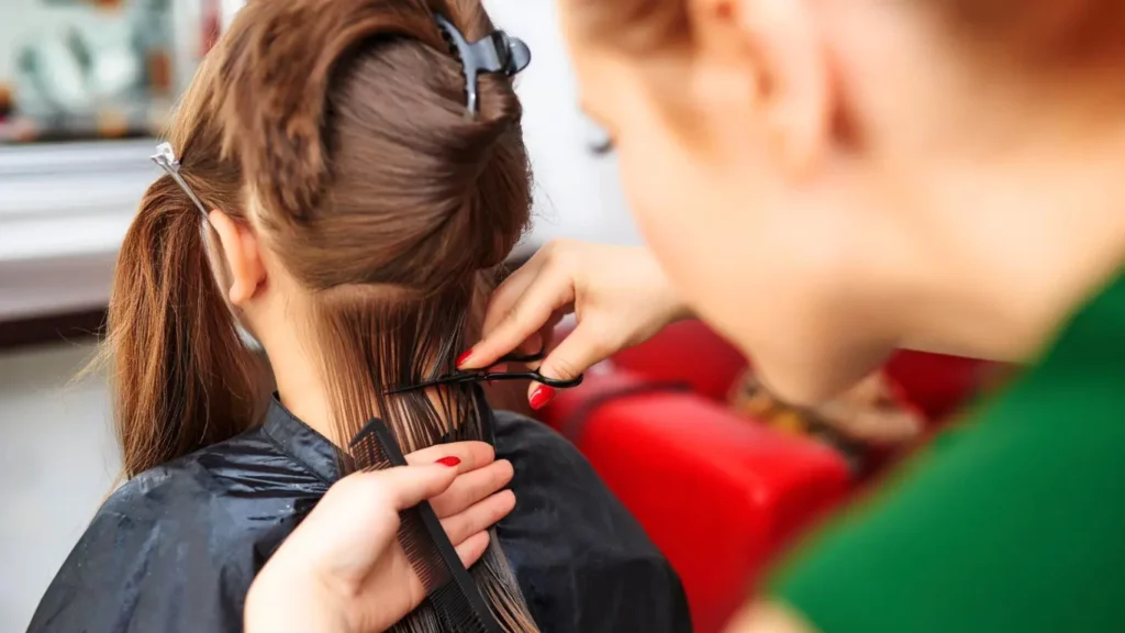 Fairy Hair Extensions